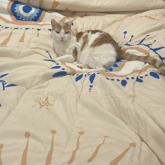 🎁Sunday 🛑Lots of Surprises! - Picture 16 of 16